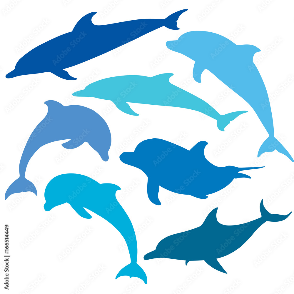 Obraz premium Blue Dolphins