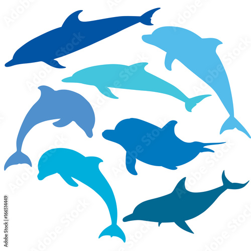 Blue Dolphins