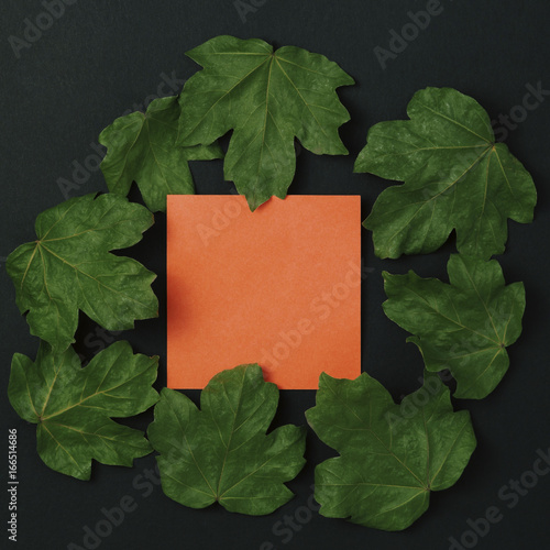 Green leaves with orange card with empty space on the dark background. Flat lay. Nature concept