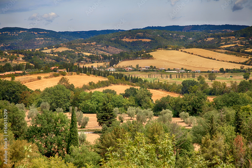 Rural landscape of Maremma, Tuscany, Italy.