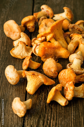 Raw wild mushrooms chanterelle on rustic wooden table