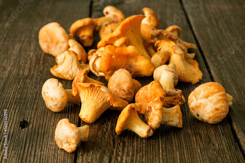 Raw wild mushrooms chanterelle on rustic wooden table
