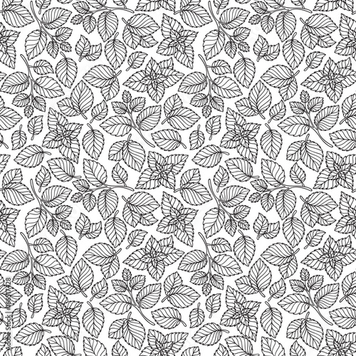 Vector seamless pattern  of mint leaves .