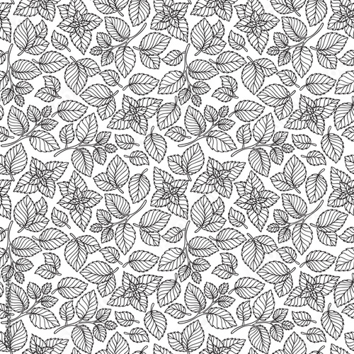 Vector seamless pattern  of mint leaves .