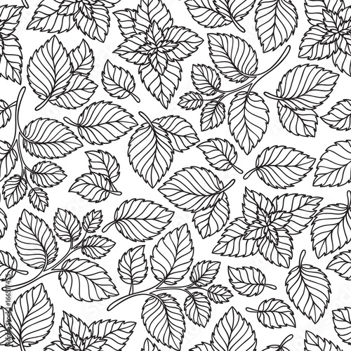 Vector seamless pattern of mint leaves .