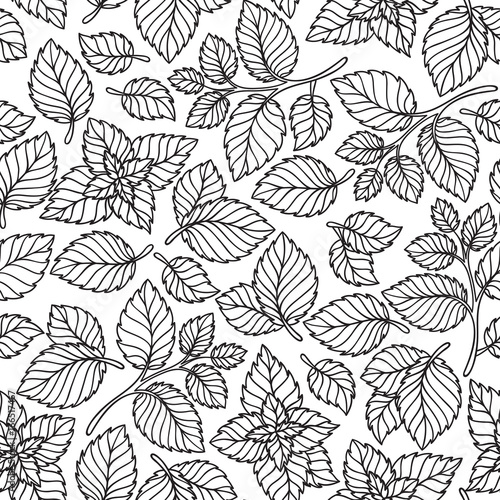 Vector seamless pattern  of mint leaves .