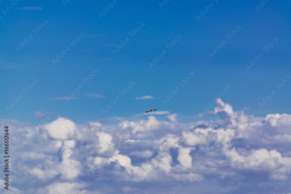 Deep blue sky and clouds, white cloud. Deep blue sky and clouds, white cloud.