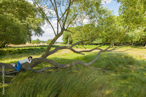 Girl stretched on tree branch - Richmond Park