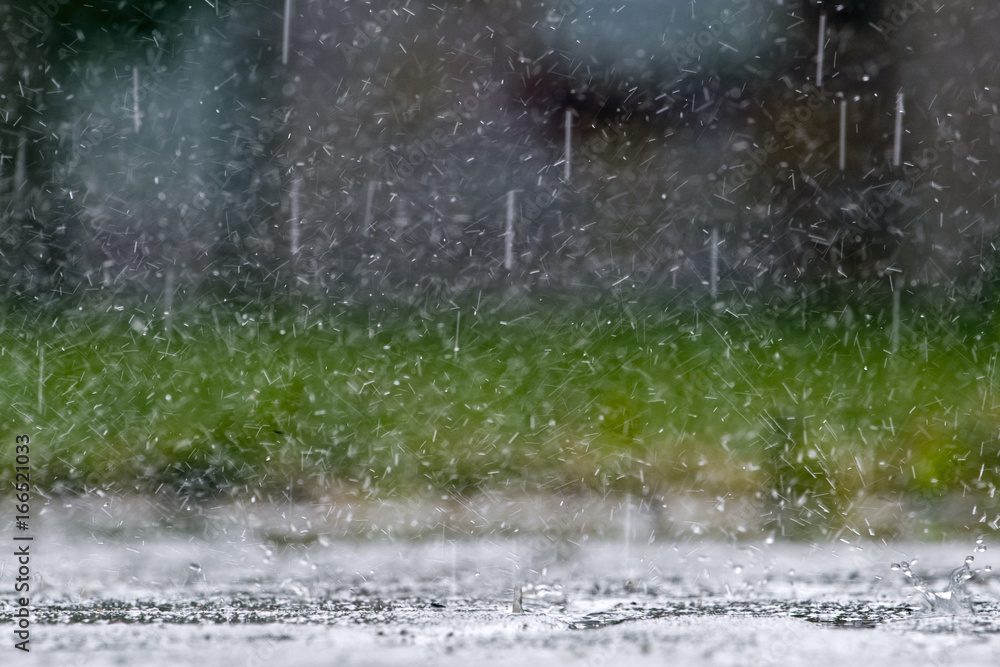 Summer downpour on the grass Summer downpour on the grass