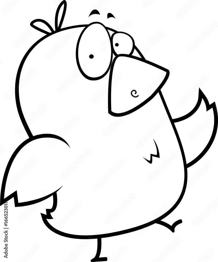 Bird Walking Bird Walking