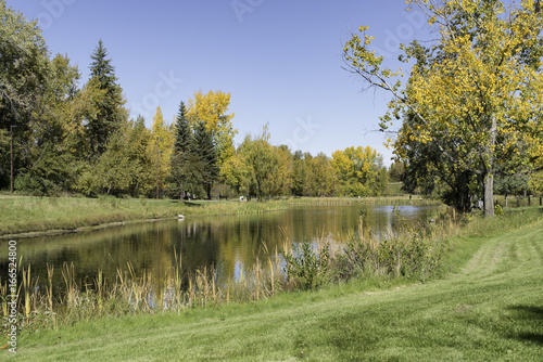 Fotografía Fall colors at Bower Ponds, Red Deer, Alberta, Canada