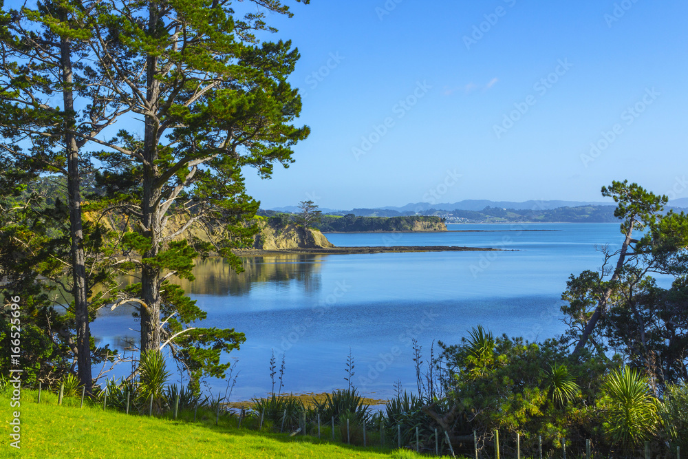 Scandrett Beach Auckland New Zealand