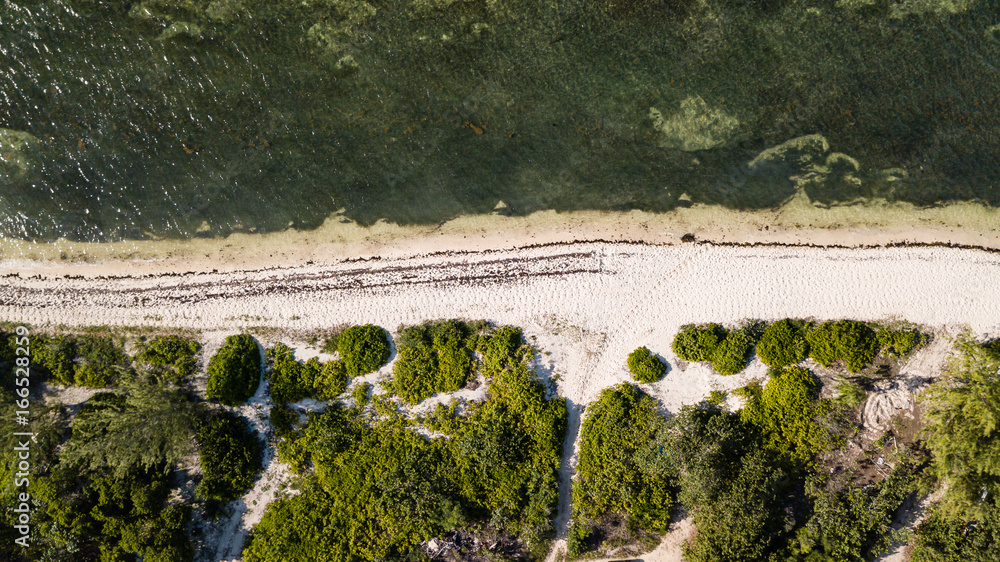 Aerial view of a remote, empty tropical beach Aerial view of a remote, empty tropical beach