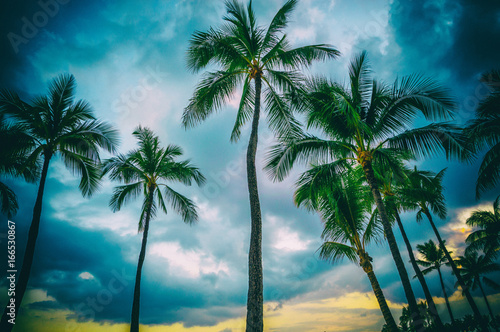 Blue Hawaii © Robert