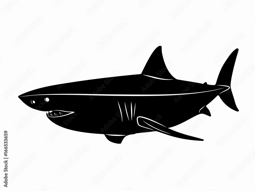 Fototapeta premium illustration of shark, vector draw
