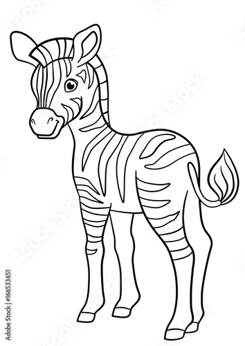 55 Cute Zebra Coloring Pages  Latest HD