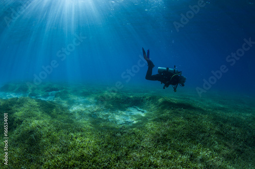 Scuba Diver on Seagrass