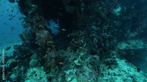 Wallpaper Mural Scuba diver investigate sunken ship, POV Torontodigital.ca