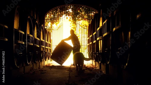 Abstract background footage of vigneron winemaker rolling vintage red or white wine barrel in old winery cellar featuring rows of oak barrels after harvest. Barossa valley.