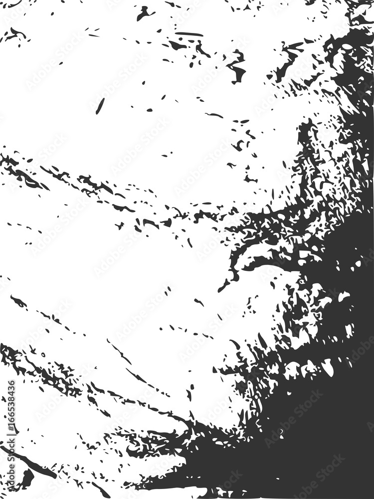 Monochrome image. Grunge distress texture. Vector template