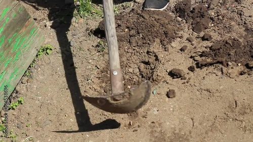 Working in the garden, a man digging the earth