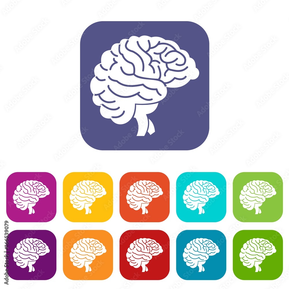 Brain icons set Brain icons set