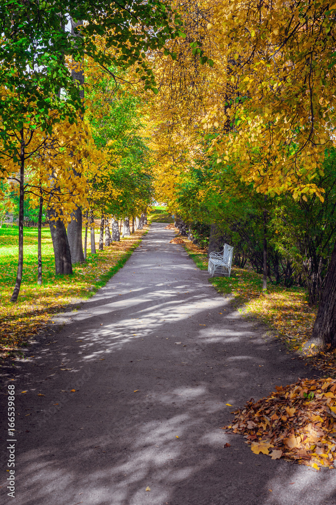 Landscape golden autumn in the Alexander Park of Pushkin