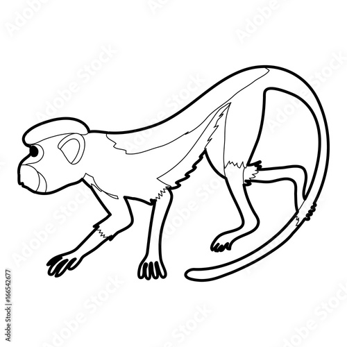 Going forward monkey icon outline