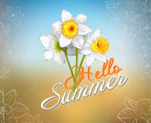 Fototapeta Naklejka Na Ścianę i Meble -  vector hello summer card with daffodil flowers