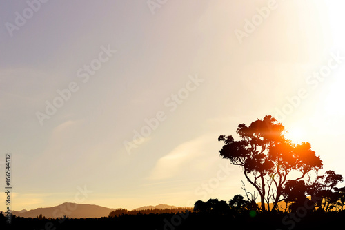 Safari sunset landscape