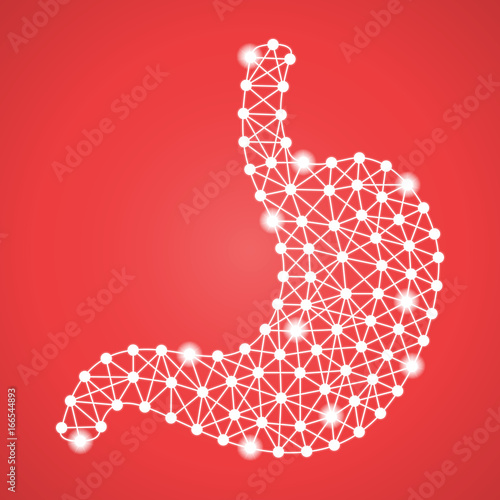 Human Stomach Isolated On A Red Background. Vector Illustration.Gastroenterology. Creative Medical Concept photo