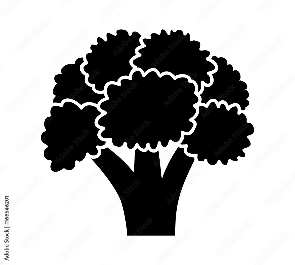Head of broccoli vegetable flat vector icon for food apps and websites Head of broccoli vegetable flat vector icon for food apps and websites
