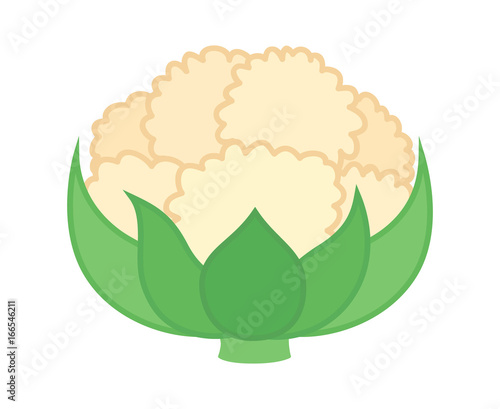 Cauliflower vegetable with leaves flat vector color icon for food apps and websites