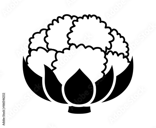 Cauliflower vegetable with leaves flat vector icon for food apps and websites