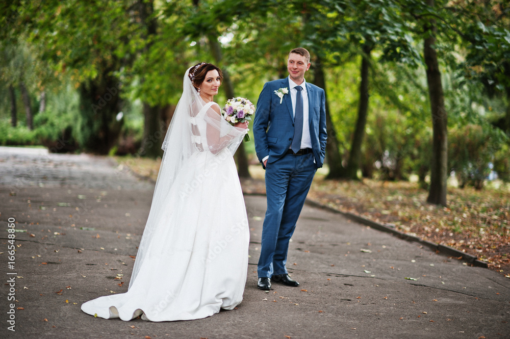 Fabulous young wedding couple posing in the park on the sunny day.