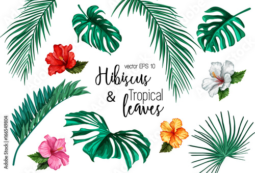 vector tropical leaves and hibiscus flowers set