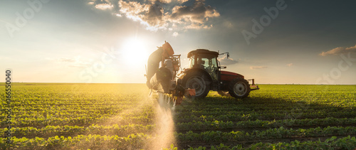 Tractor spraying soybean field at spring photo