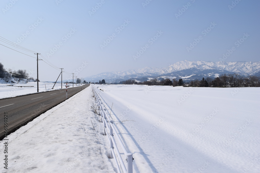 北国の雪景色