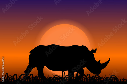 Rhino in the sunset