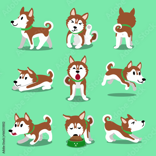 Cartoon character brown siberian husky dog poses
