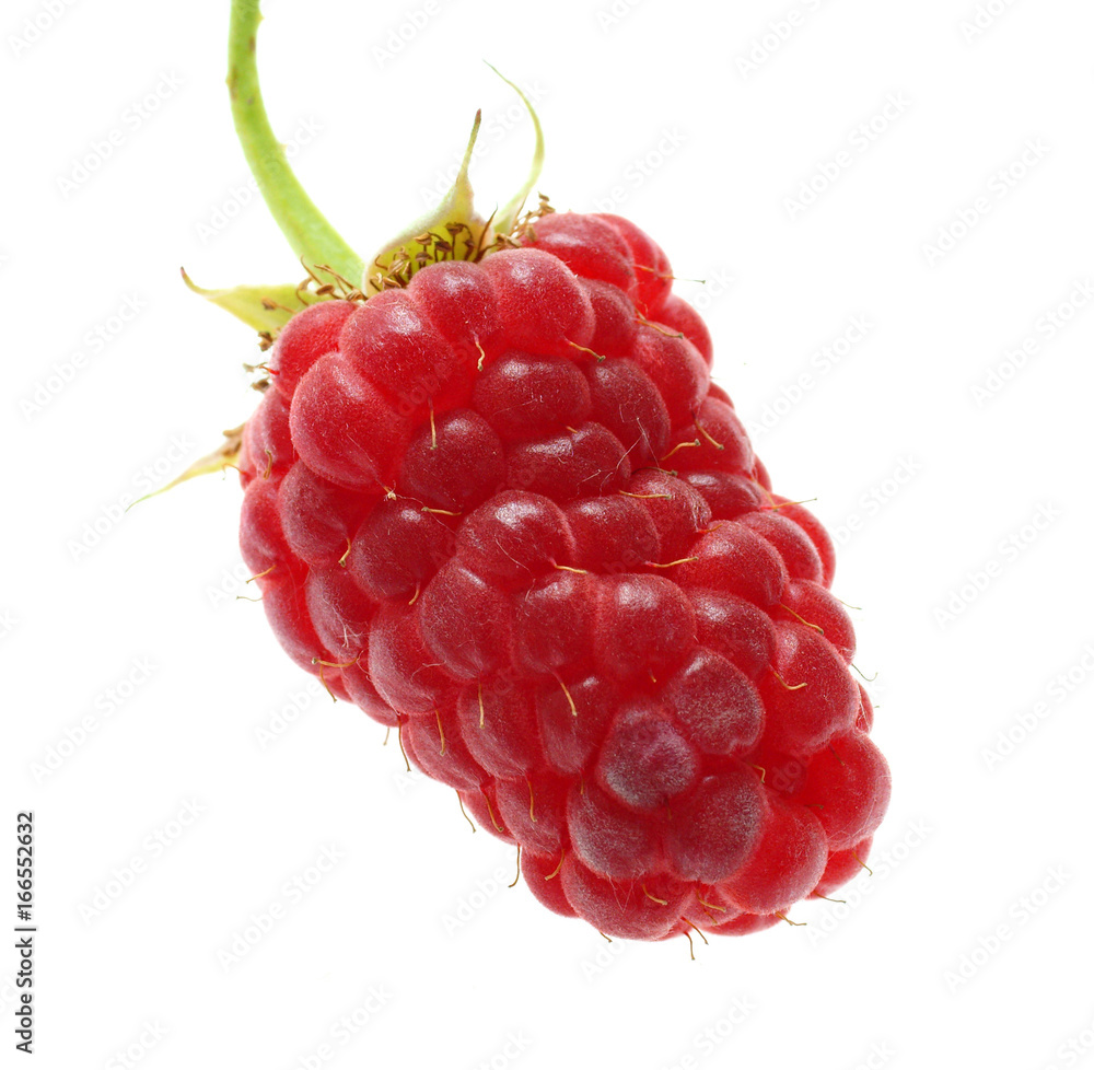 Red raspberry berries with green leaves on a white background