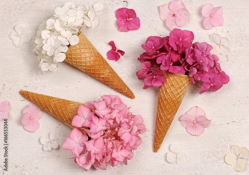 Fototapeta Naklejka Na Ścianę i Meble -  ice cream cones with hydrangea flowers