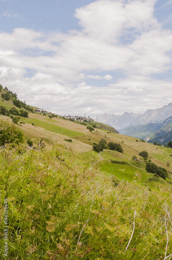 Fototapeta premium Guarda, Dorf, Bergdorf, Engadin, Unterengadin, Wanderweg, Felder, Bergbauer, Bergblumen, Alpen, Schweizer Berge, Graubünden, Sommer, Schweiz