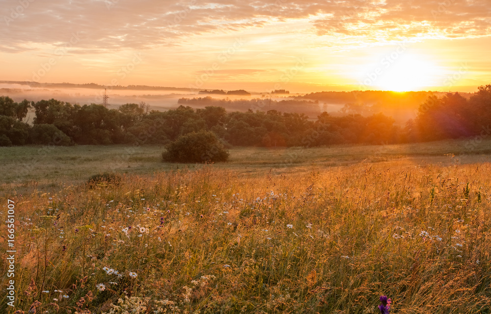 Flower Meadow Field In Thick Fog Countryside In Early Sunrise Dawn Sunset.