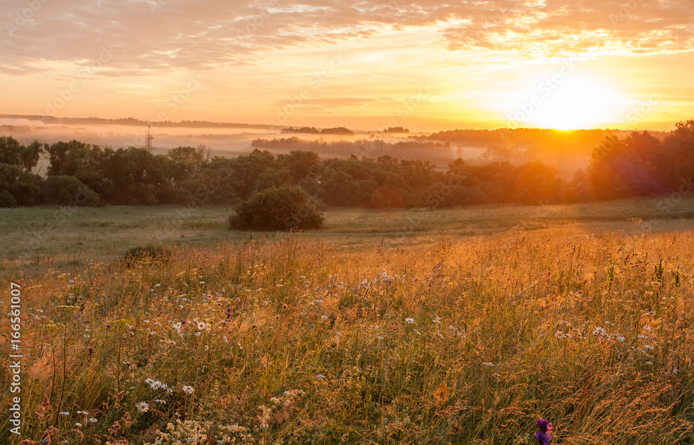 Flower Meadow Field In Thick Fog Countryside In Early Sunrise Dawn Sunset. Flower Meadow Field In Thick Fog Countryside In Early Sunrise Dawn Sunset.