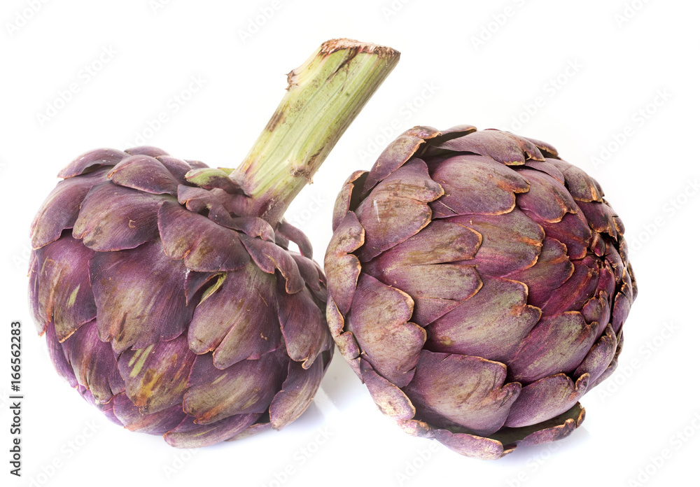 Obraz premium purple artichoke in studio