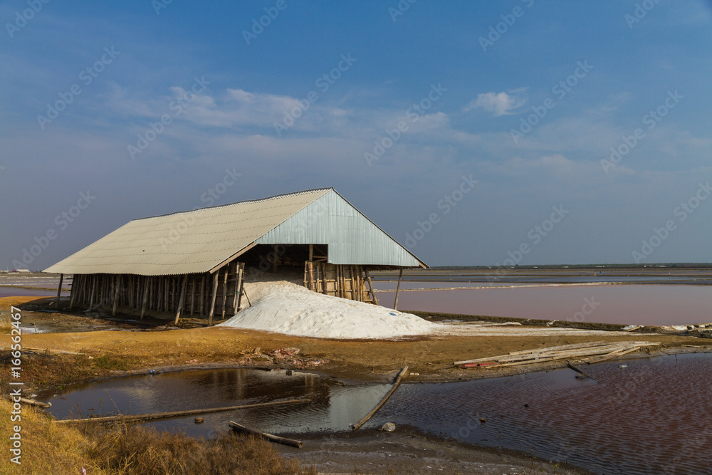 Salt Farm Salt Farm