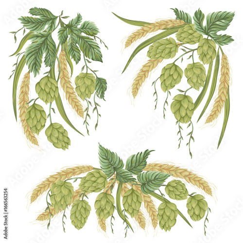 Wreath with hop cones, leaves and branches and wheat. Isolated elements. Vintage hand drawn illustration in watercolor style.