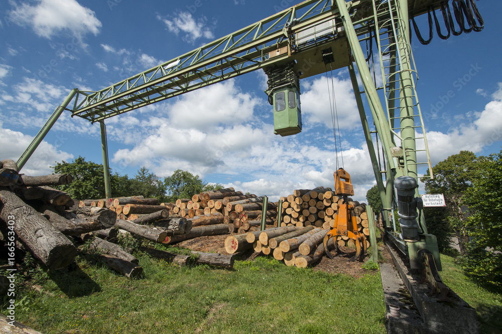 Fototapeta premium Lumber mill