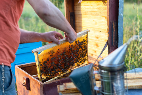 Man holding honeycomb frame for checking the bees